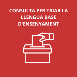 Información para las familias sobre la elección de lengua base CEIP