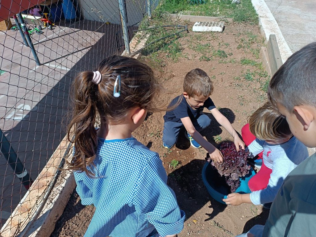 De Lhort A La Taula CEIP VICENTE FAUBELL ZAPATA