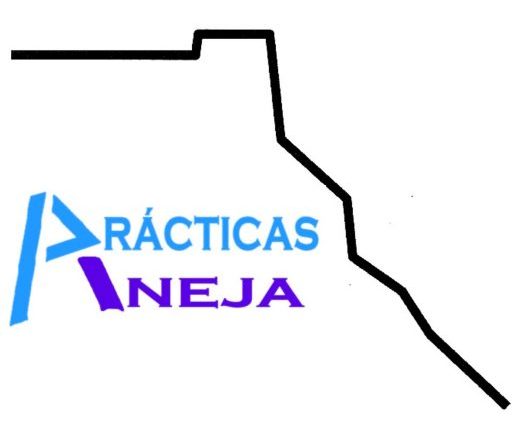 Logo CEIP PRÁCTICAS LA ANEJA