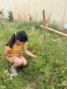 WhatsApp Image 2025-06-23 at 14.31.21 (2)