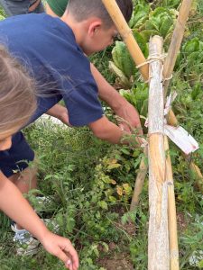 WhatsApp Image 2025-06-23 at 14.31.22 (1)