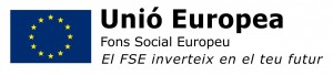 Fons social europeu