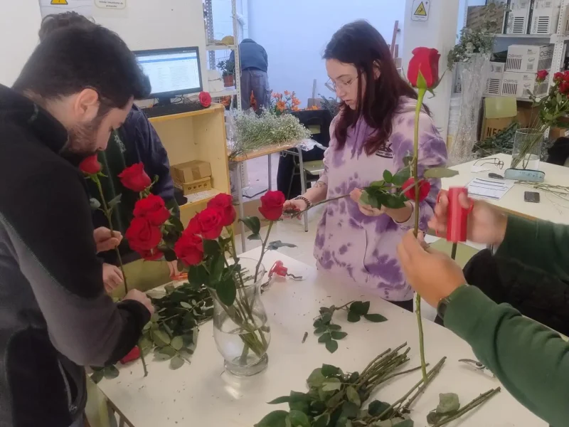 shared image (2) (1)