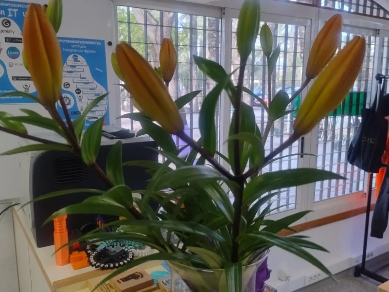 shared image (3) (1)