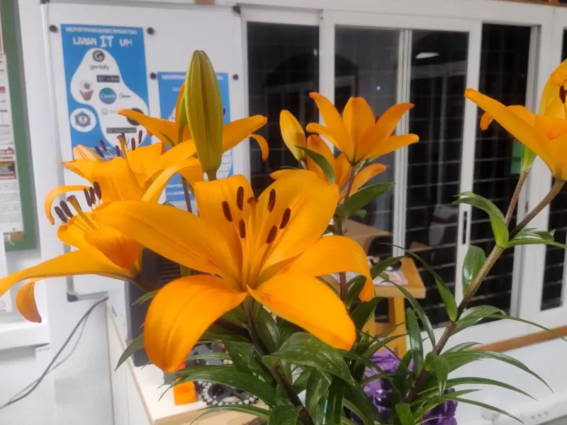 shared image (4) (1)