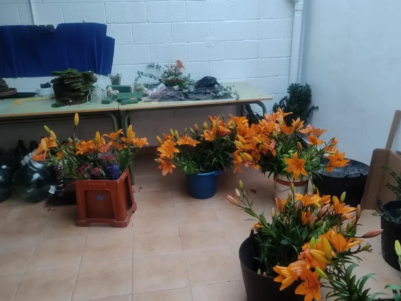 shared image (5) (1)