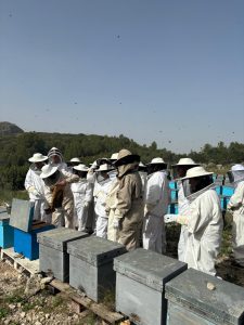 Visita als ruscs del Serralet