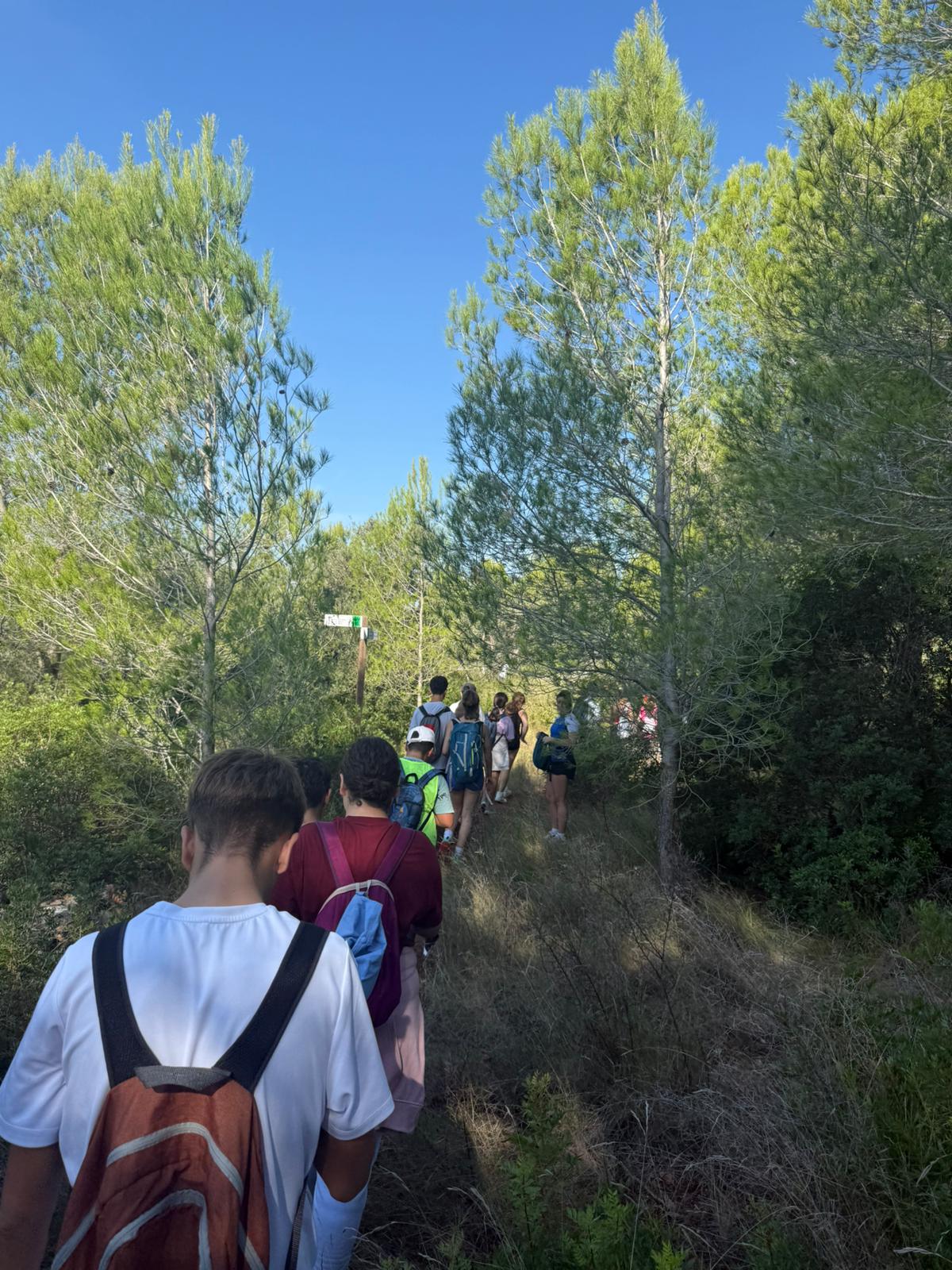 WhatsApp Image 2025-10-08 at 11.43.58