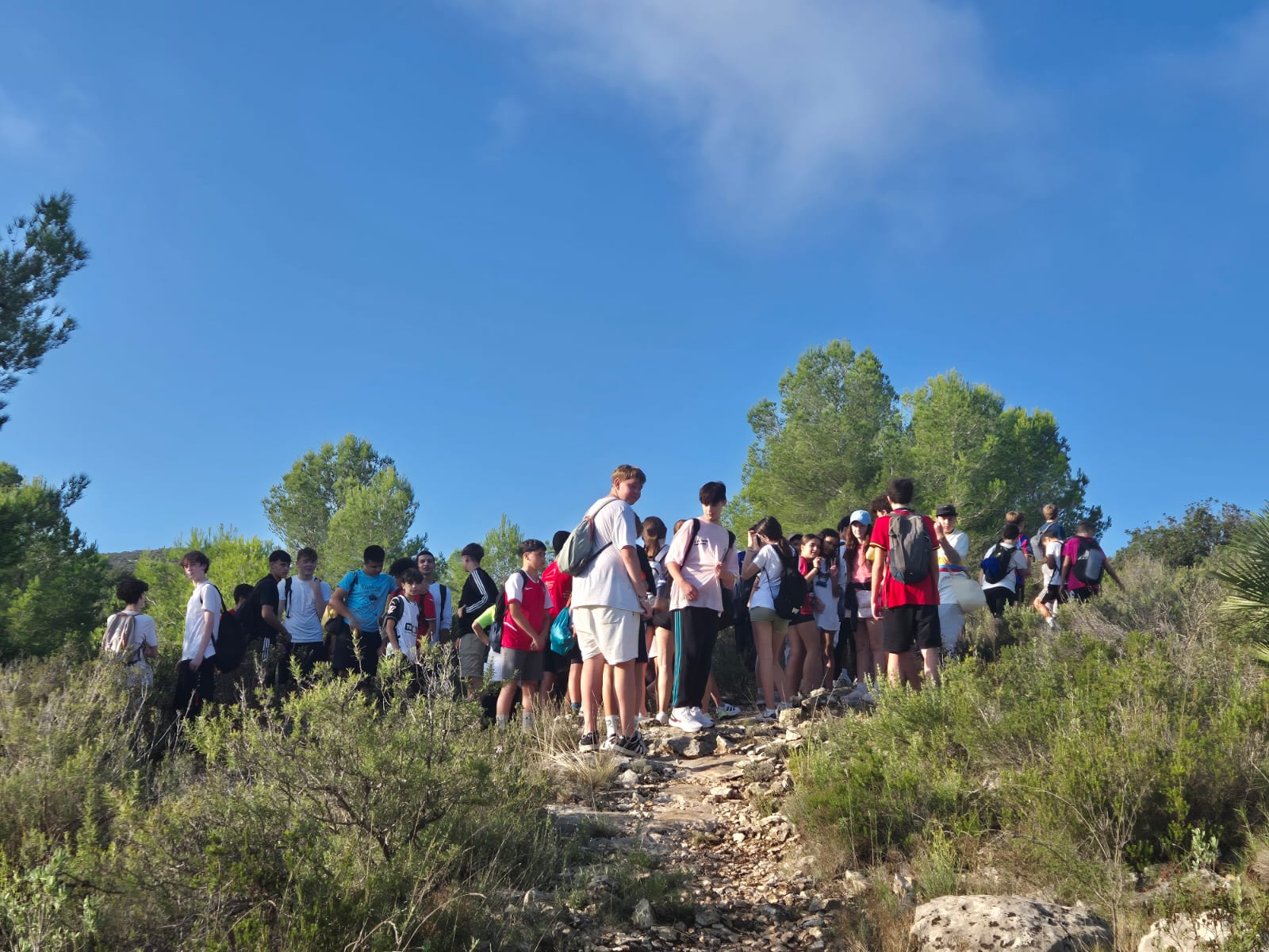 WhatsApp Image 2025-10-08 at 11.45.36 (1)