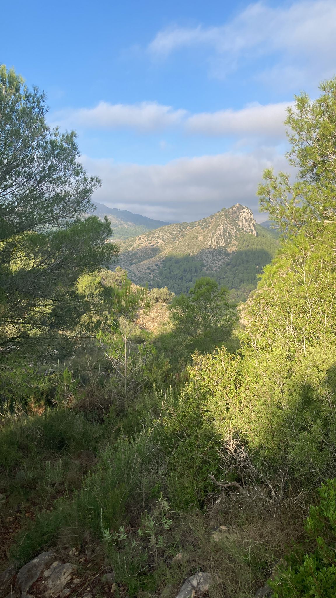 WhatsApp Image 2025-10-08 at 18.55.07