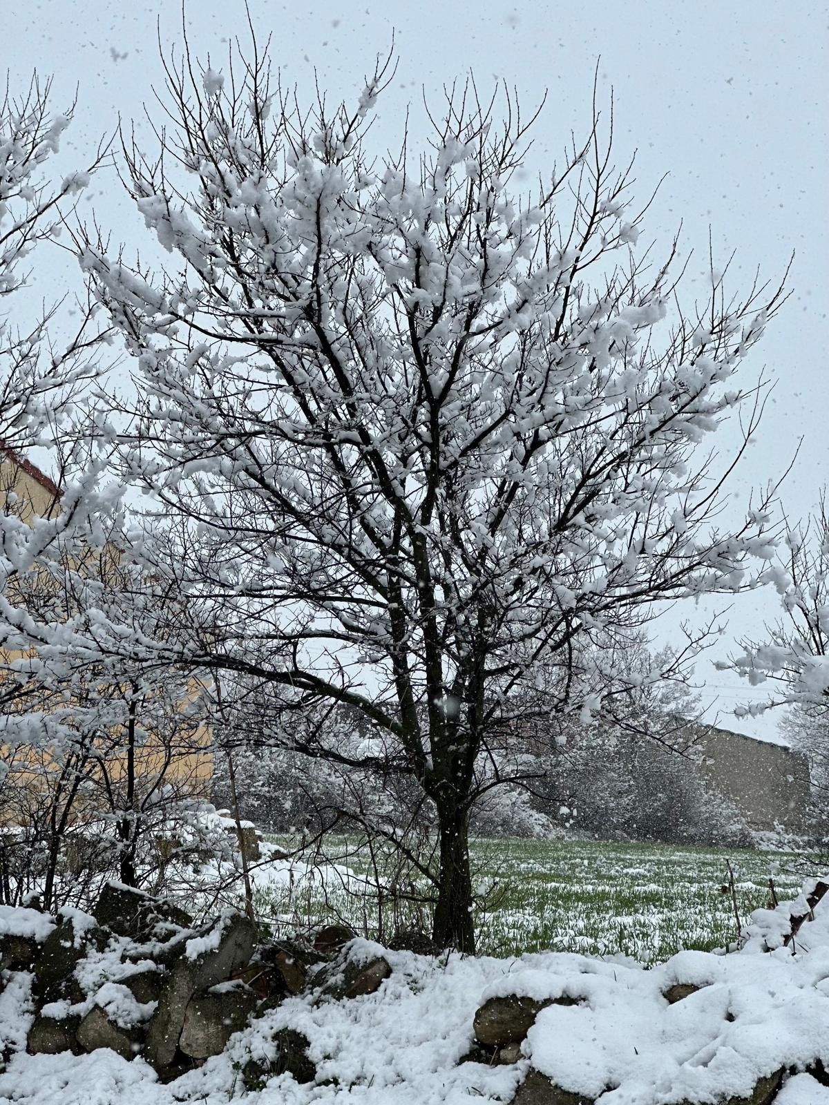 EMMA GARCIA DE LA CUERDA 2ºB