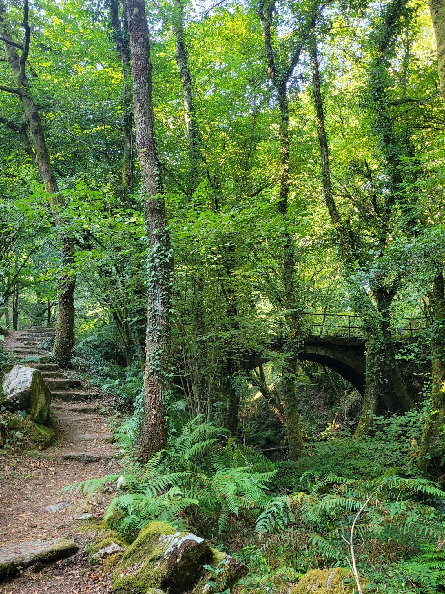 INÉS REY PAZ. Curso 3ºB