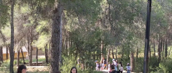 Parc San Salvador ONDA (97)