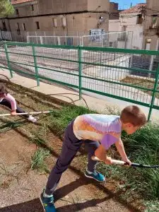 WhatsApp Image 2026-01-08 at 12.45.47 (3)