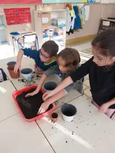 WhatsApp Image 2026-01-08 at 12.45.49 (1)