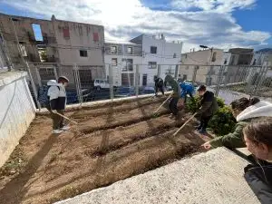 WhatsApp Image 2026-01-08 at 13.11.21