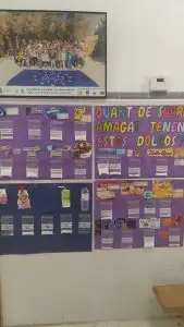 WhatsApp Image 2026-01-08 at 13.25.24