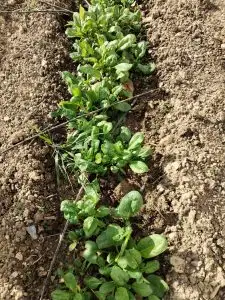 WhatsApp Image 2026-01-08 at 14.41.40 (1)