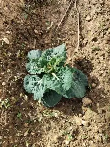 WhatsApp Image 2026-01-08 at 14.41.40