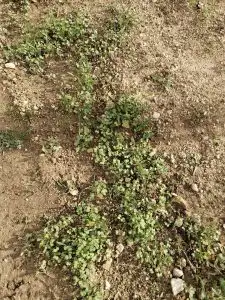 WhatsApp Image 2026-01-08 at 14.41.42