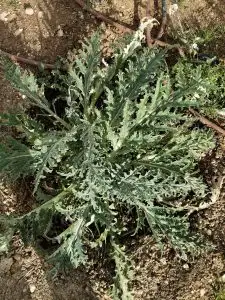 WhatsApp Image 2026-01-08 at 14.41.43