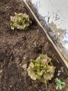 WhatsApp Image 2026-01-08 at 14.41.44 (1)