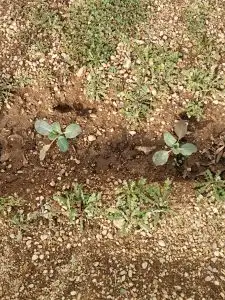 WhatsApp Image 2026-01-08 at 14.41.44 (2)