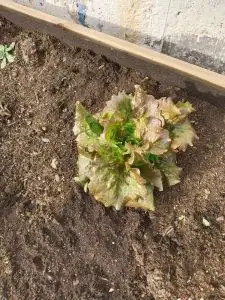 WhatsApp Image 2026-01-08 at 14.41.44