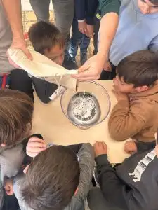 WhatsApp Image 2026-01-13 at 09.34.11 (3)