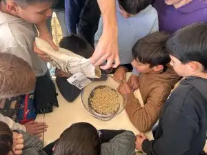 WhatsApp Image 2026-01-13 at 09.34.11 (9)