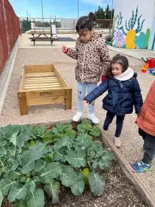 WhatsApp Image 2026-01-13 at 12.59.16 (1)