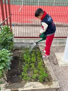 WhatsApp Image 2026-01-13 at 12.59.16