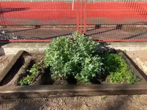 WhatsApp Image 2026-01-13 at 12.59.17 (1)