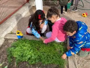 WhatsApp Image 2026-01-13 at 12.59.17 (2)