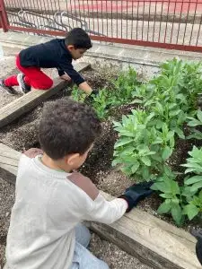 WhatsApp Image 2026-01-13 at 12.59.18 (1)