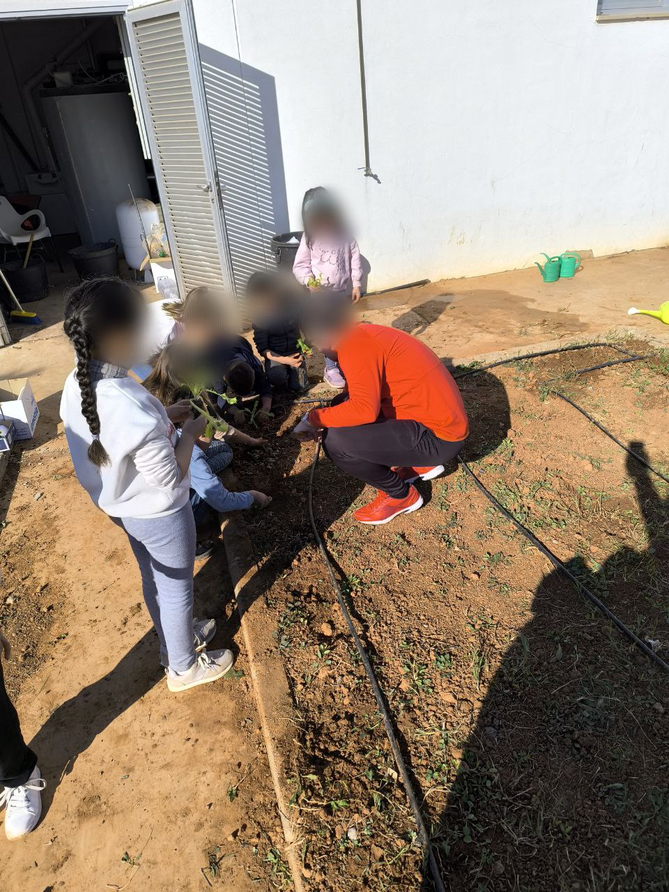 photo_2025-02-01_19-26-17