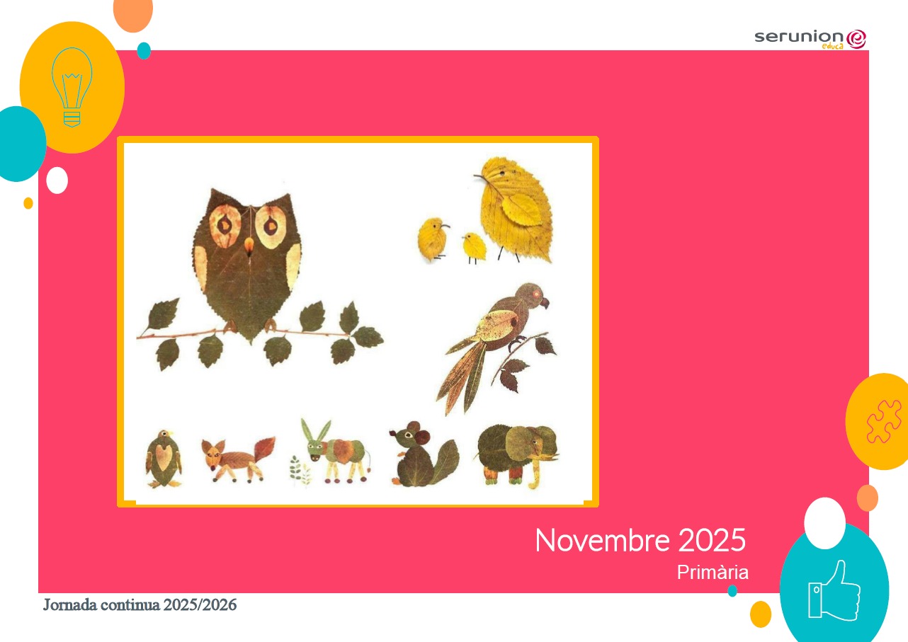 WhatsApp Image 2025-10-28 at 16.51.42