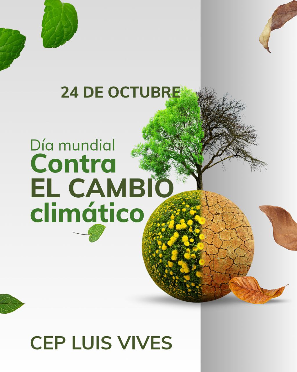 photo_2025-10-19_19-21-46