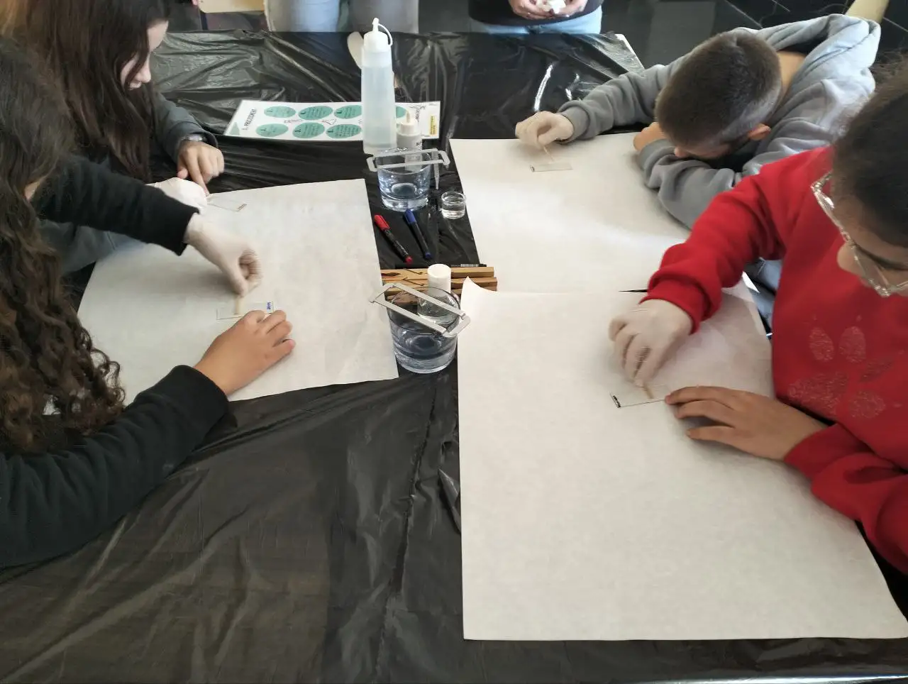 photo_2026-01-11_17-09-55