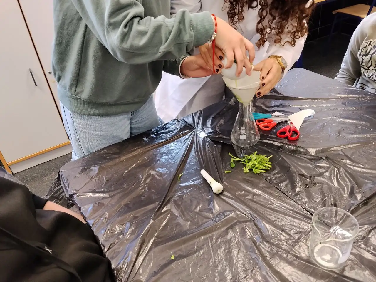 photo_2026-01-12_14-39-57 (2)