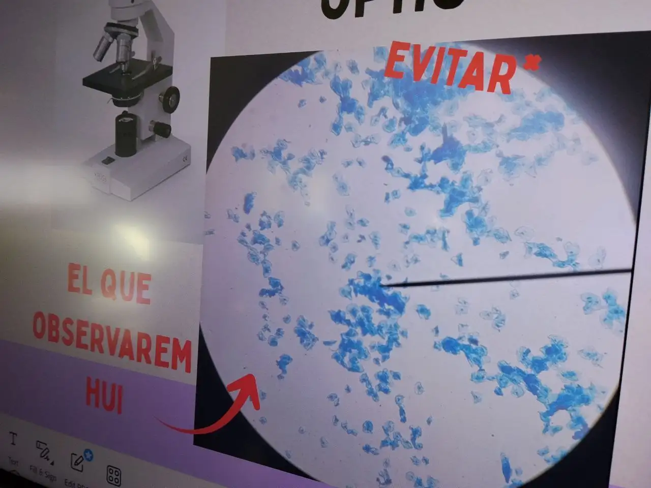 photo_2026-01-12_14-39-57 (3)