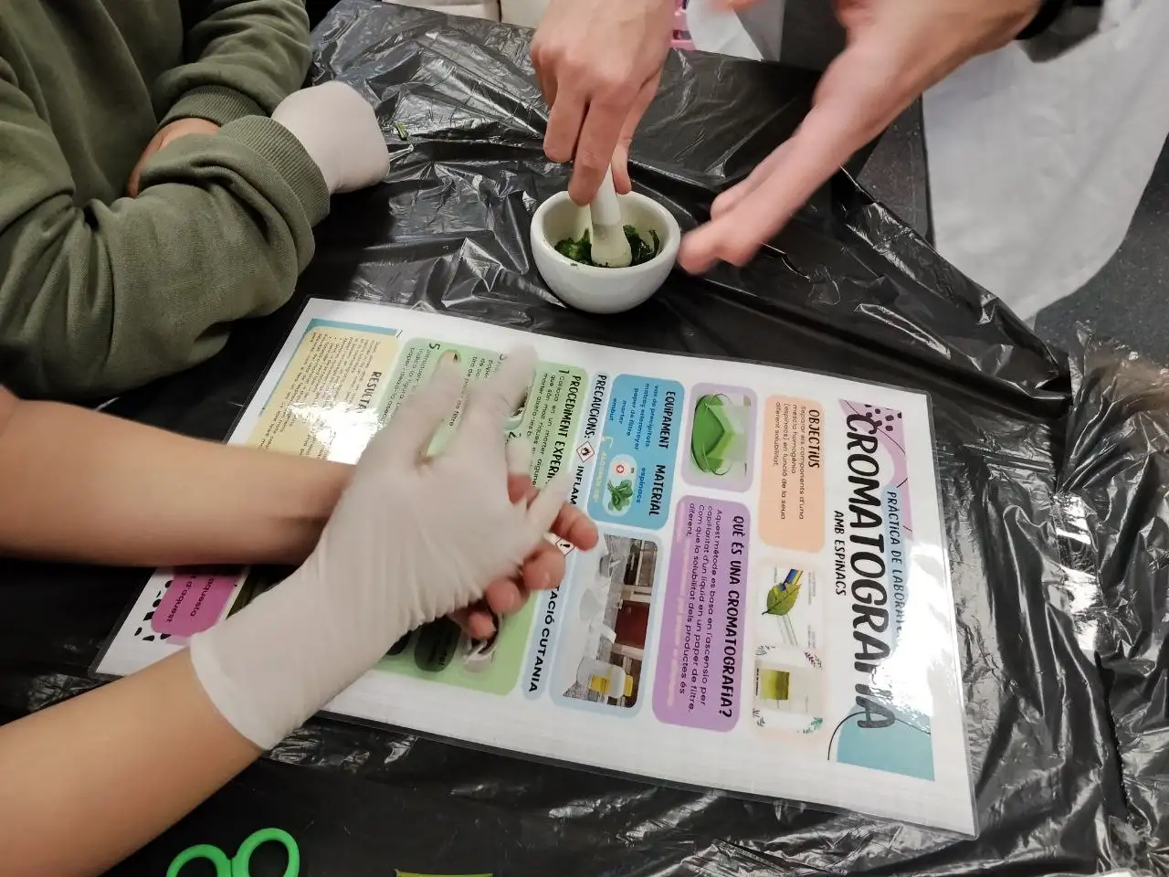 photo_2026-01-12_14-39-57 (7)