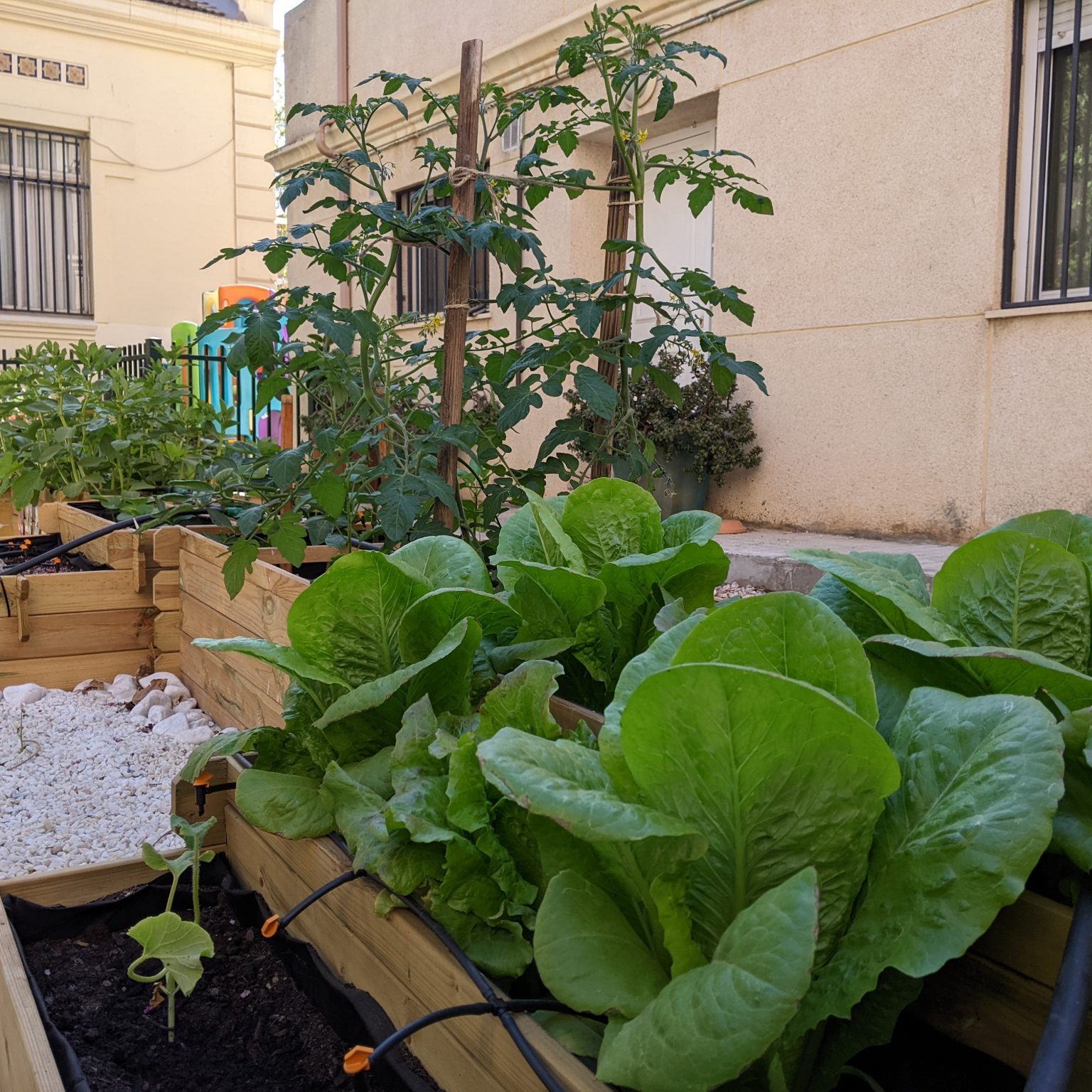 PXL_20230419_081201043