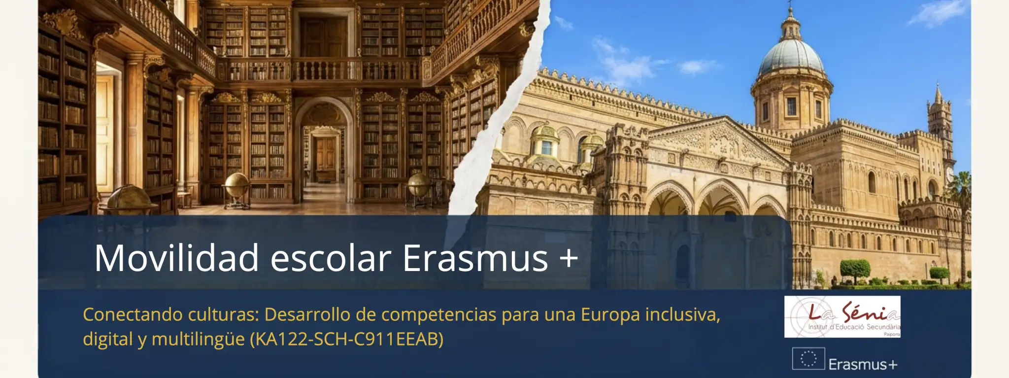 Miniatura erasmus