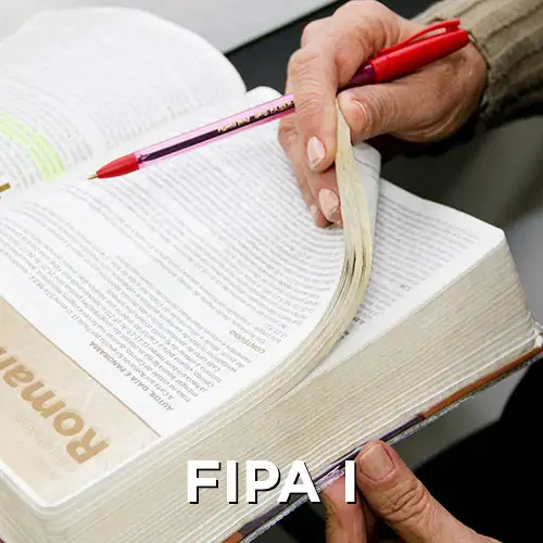 FIPA I