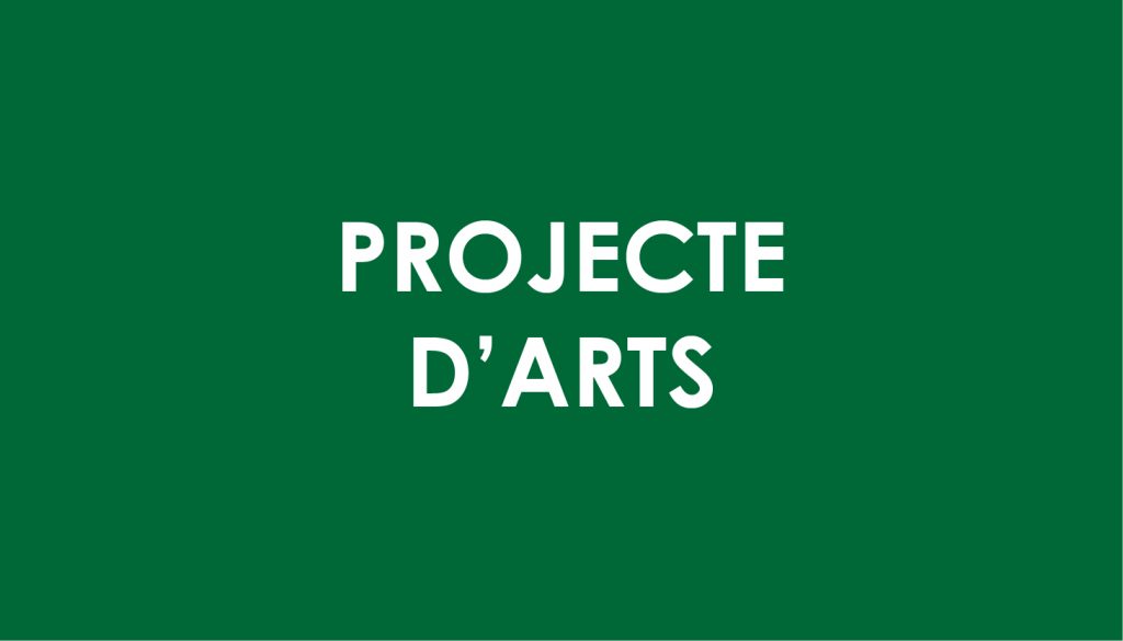 Projecte d'arts