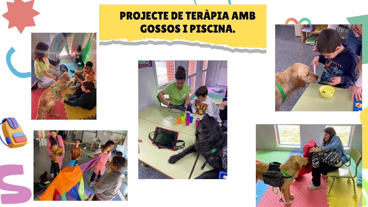 photo_2025-04-09_13-16-22