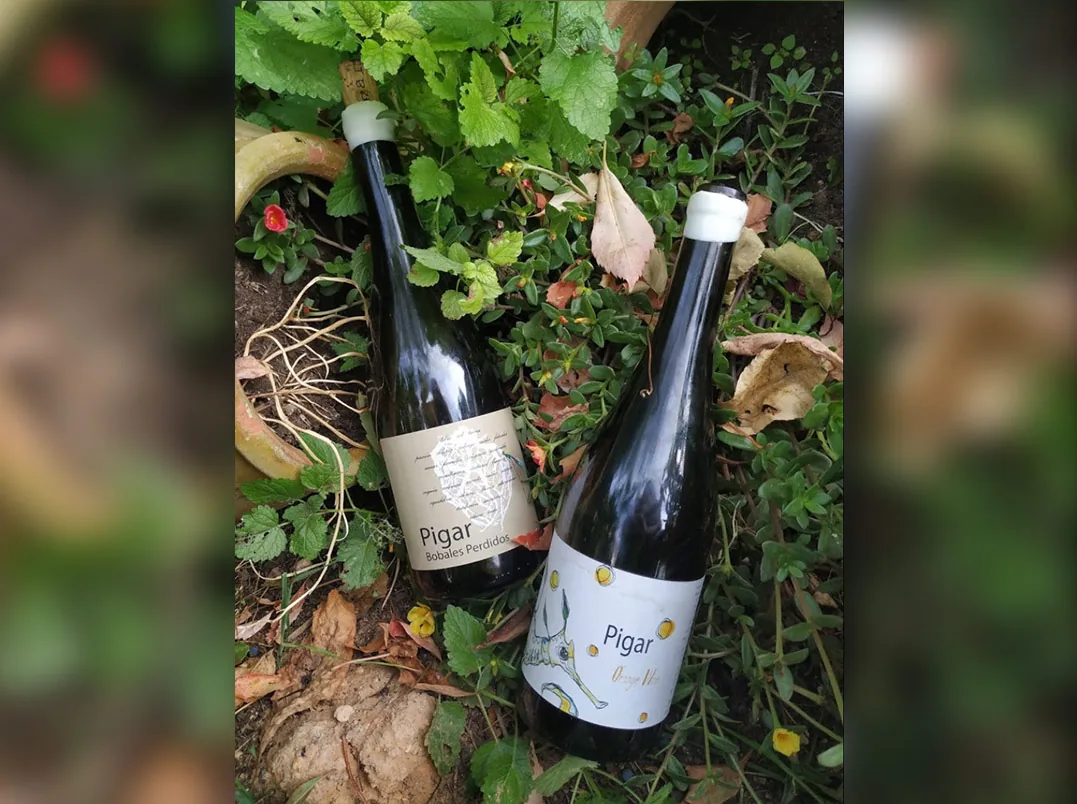 Bodegas Pigar - imagen 3