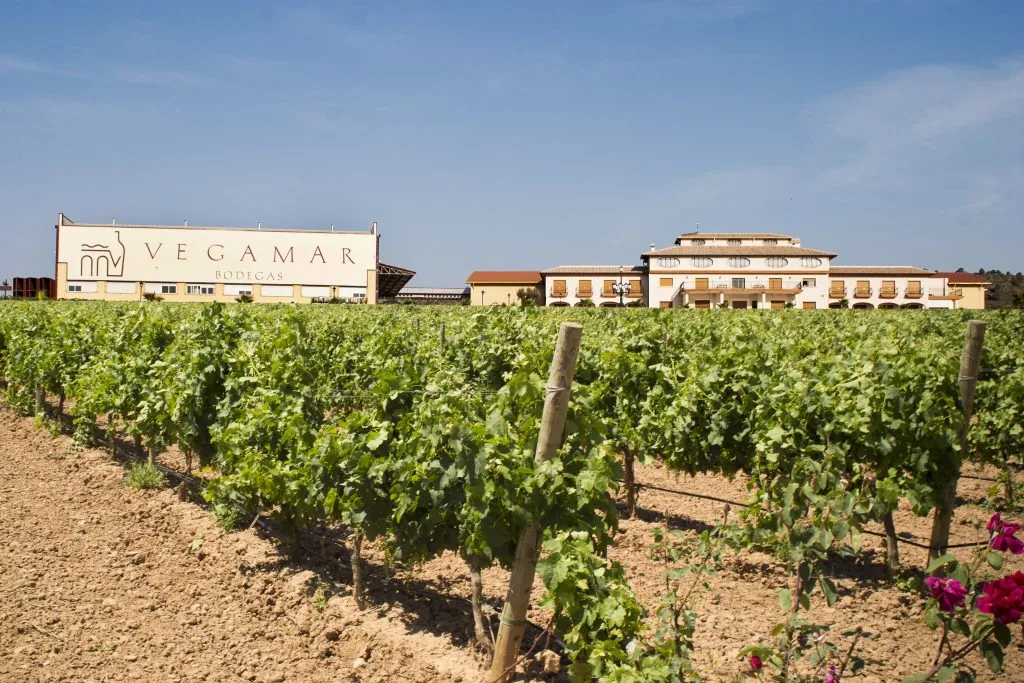 Bodegas Vegamar - imagen 1