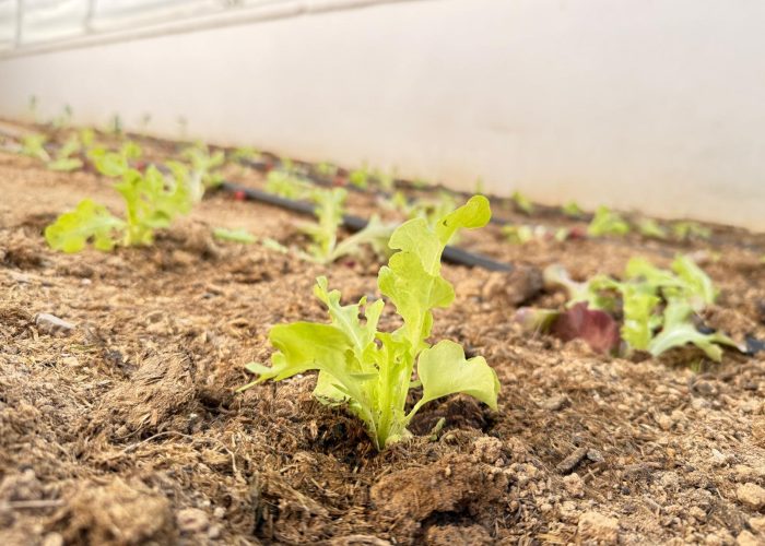 PHOTO-2024-10-21-15-32-05